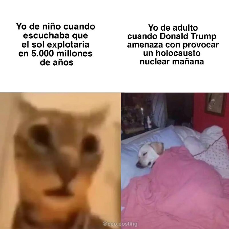 Yo:de-hihocuando: Yo‘de’adulto: ‘éscuchaba que: ‘cuando Donald Trump: ‘el. sol-explotaria aménaza.con provocar: en:5.000millones: un holocausto: de afios: nuclear mafiana